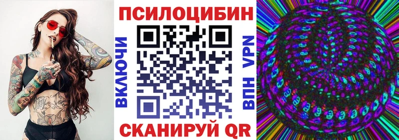Купить  Ульяновск  Галлюциногенные грибы Cubensis 